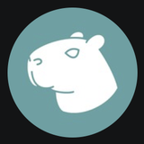 Логотип Capybara VPN