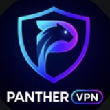 Логотип Panther VPN